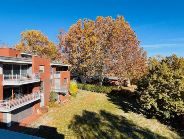 Almási Balogh Lóránd utca