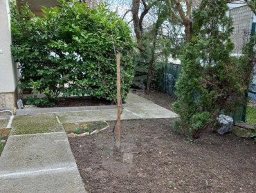 Palánta utca-budapest-ii-kerulet-palanta-utca_19.jpg