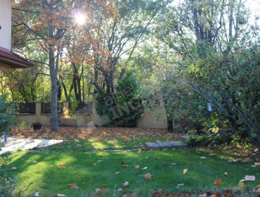 Csiperke utca-budapest-xxii-kerulet-csiperke-utca_2.jpg