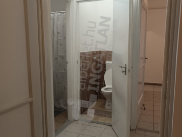 Nefelejcs utca-gyomro-nefelejcs-utca_10.jpg