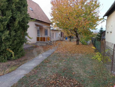 Nefelejcs utca-gyomro-nefelejcs-utca_22.jpg