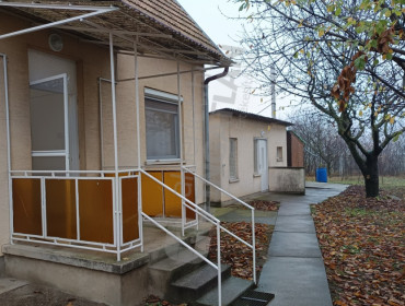 Nefelejcs utca-gyomro-nefelejcs-utca_28.jpg