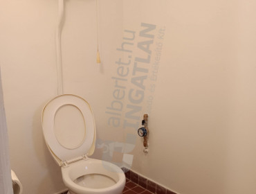 Nefelejcs utca-gyomro-nefelejcs-utca_36.jpg