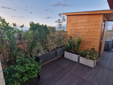 Ciprus utca-budapest-viii-kerulet-ciprus-utca_13.jpg