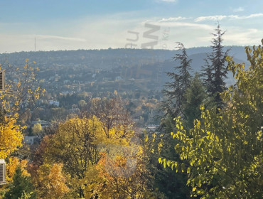 Csalán út-budapest-ii-kerulet-csalan-ut_4.jpg