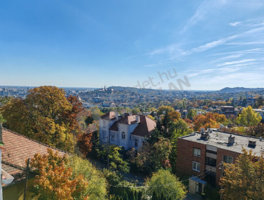 Bimbó út-budapest-ii-kerulet-bimbo-ut_11.jpg