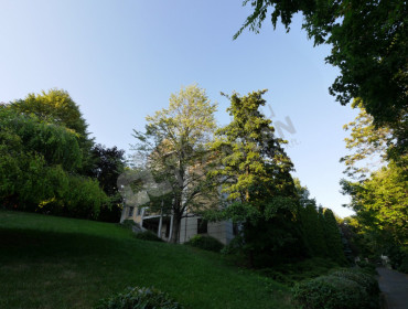 Kelenhegyi út-budapest-xi-kerulet-kelenhegyi-ut_22.jpg