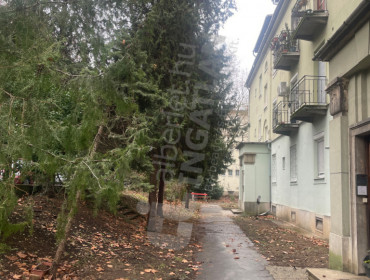 Villányi út-budapest-xi-kerulet-villanyi-ut_19.jpg