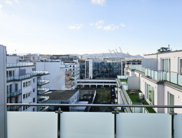 Röppentyű utca-budapest-xiii-kerulet-roppentyu-utca_12.jpg