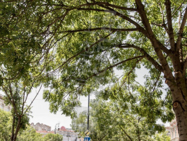 Eötvös utca-budapest-vi-kerulet-eotvos-utca_14.jpg