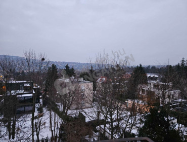 Dániel út-budapest-xii-kerulet-daniel-ut_15.jpg