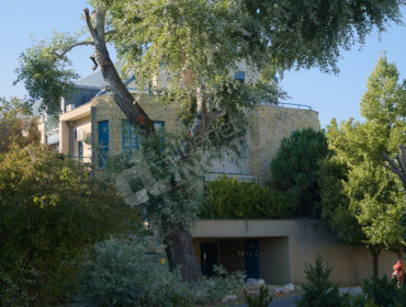 Tündérliget utca-budapest-iii-kerulet-tunderliget-utca_8.jpg