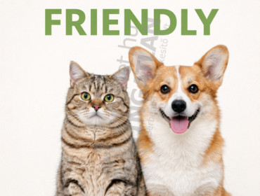 Ernő utca-budapest-ix-kerulet-erno-utca_6.jpg