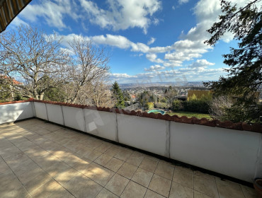 Szalamandra köz-budapest-ii-kerulet-szalamandra-koz_11.jpg