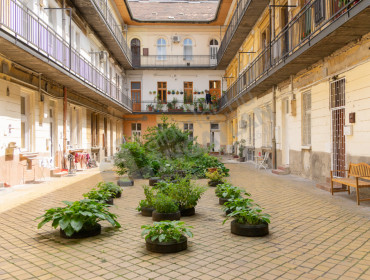 Szövetség utca-budapest-vii-kerulet-szovetseg-utca_13.jpg