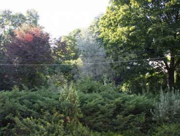 Fodor utca-budapest-xii-kerulet-fodor-utca_3.jpg