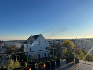 Fatörzs utca-budapest-xi-kerulet-fatorzs-utca_13.jpg