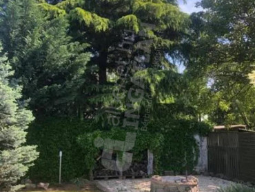 Székelyudvarhely utca-budapest-xviii-kerulet-szekelyudvarhely-utca_14.jpg