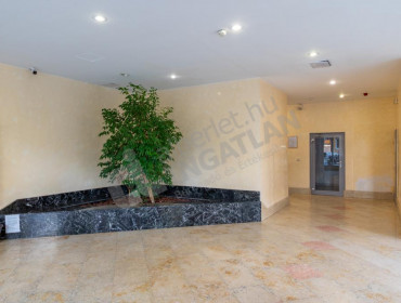 Kárpát utca-budapest-xiii-kerulet-karpat-utca_16.jpg