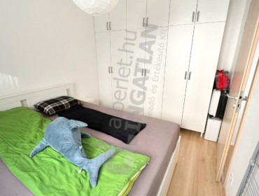 mester utca-budapest-ix-kerulet-mester-utca_11.jpg