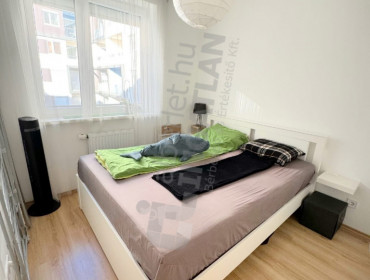 mester utca-budapest-ix-kerulet-mester-utca_7.jpg