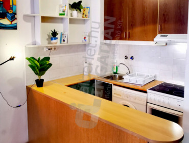 Pannónia utca-budapest-xiii-kerulet-pannonia-utca_35.jpg