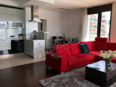 Danubius utca-budapest-xiii-kerulet-danubius-utca_5.jpg