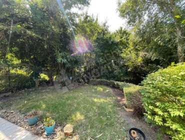 Denevér köz-budapest-xii-kerulet-denever-koz_18.jpg