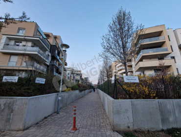 Pálinkás Antal utca-budapest-xi-kerulet-palinkas-antal-utca_25.jpg