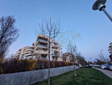 Pálinkás Antal utca-budapest-xi-kerulet-palinkas-antal-utca_26.jpg