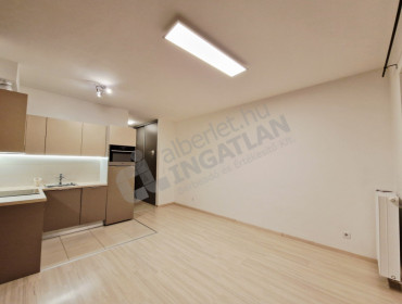 Pálinkás Antal utca-budapest-xi-kerulet-palinkas-antal-utca_5.jpg