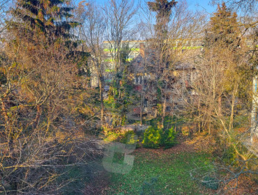 Lotz Károly utca-budapest-ii-kerulet-lotz-karoly-utca_12.jpg