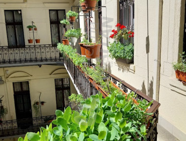 Bajza utca-budapest-vi-kerulet-bajza-utca_11.jpg