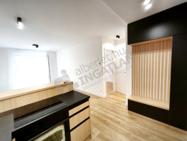 Illés utca-budapest-viii-kerulet-illes-utca_13.jpg