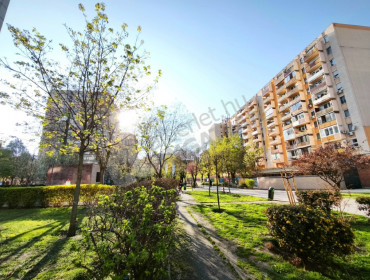 Illés utca-budapest-viii-kerulet-illes-utca_35.jpg