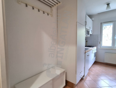 Búzavirág utca-budapest-ii-kerulet-buzavirag-utca_15.jpg