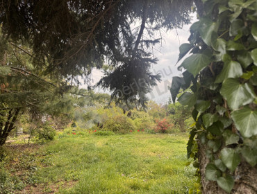 Remetehegyi út-budapest-iii-kerulet-remetehegyi-ut_20.jpg