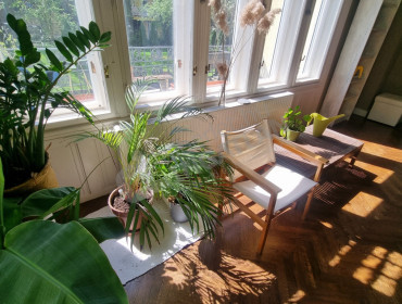 Modori utca-budapest-ii-kerulet-modori-utca_13.jpg