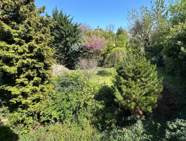 Szépvölgyi út-budapest-iii-kerulet-szepvolgyi-ut_3.jpg