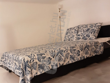 Üllői út-budapest-ix-kerulet-ulloi-ut_5.jpg