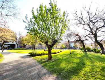 Baross utca-budapest-viii-kerulet-baross-utca_2.jpg