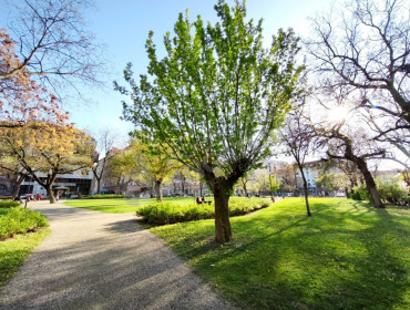 Baross utca-budapest-viii-kerulet-baross-utca_3.jpg