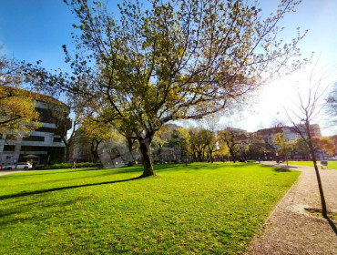 Baross utca-budapest-viii-kerulet-baross-utca_4.jpg