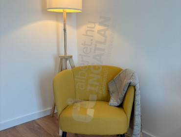 Szigetvári utca-budapest-viii-kerulet-szigetvari-utca_17.jpg