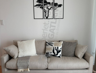 Szigetvári utca-budapest-viii-kerulet-szigetvari-utca_9.jpg