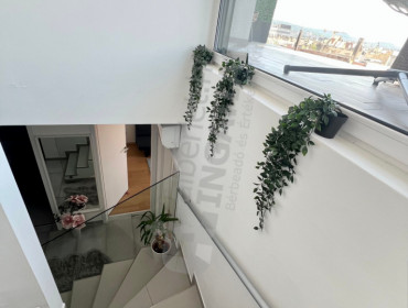 Bauer Sándor utca-budapest-viii-kerulet-bauer-sandor-utca_15.jpg